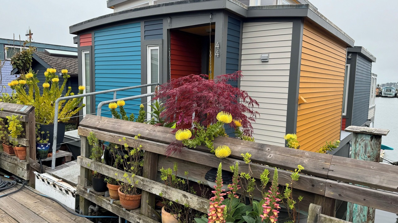 Photo of Outdoor in Marin City