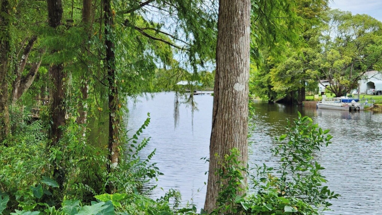 Photo of Others in Inverness