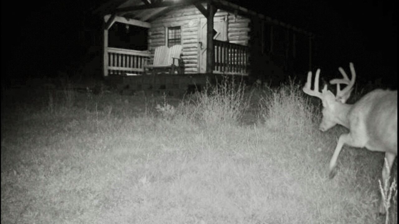 Photo of Outdoor in Kerr