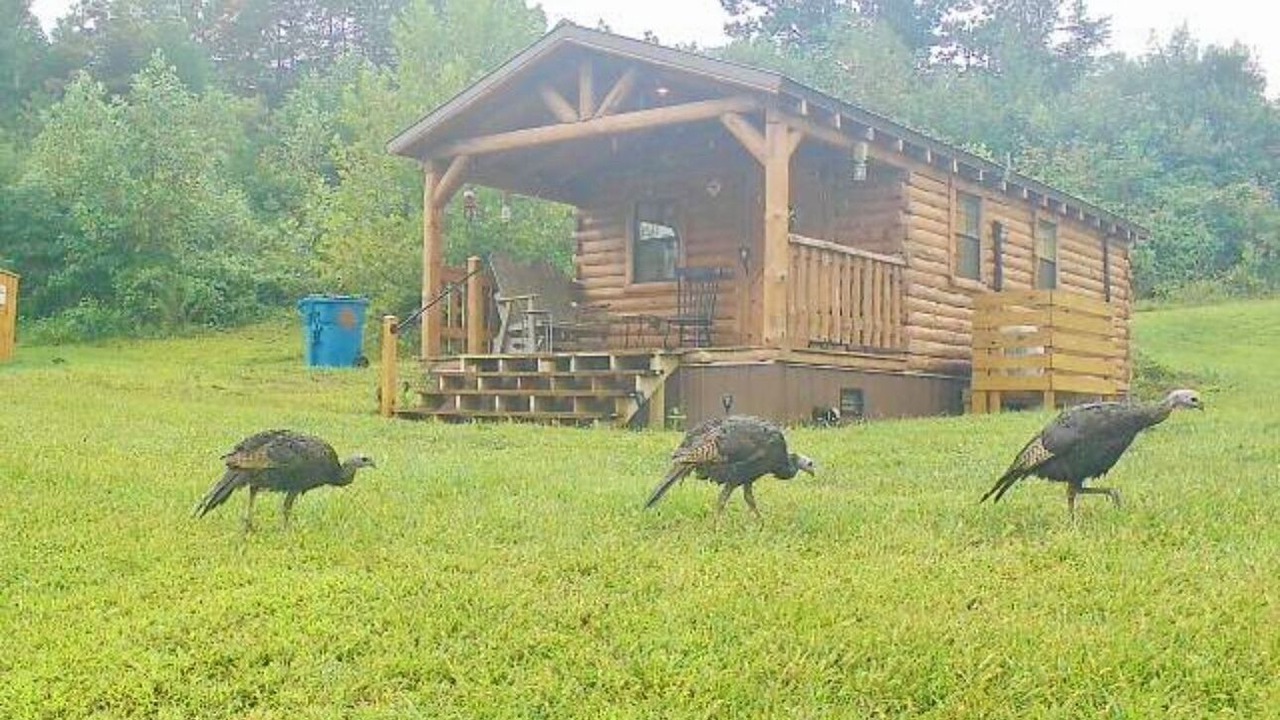 Photo of Outdoor in Kerr