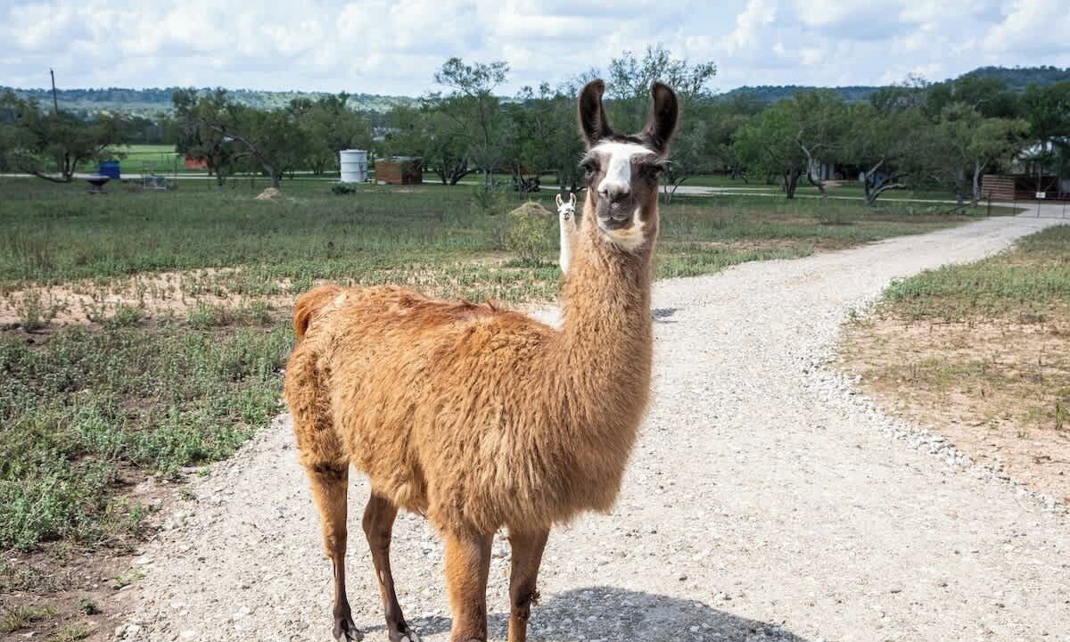 Photo of Others in Fredericksburg