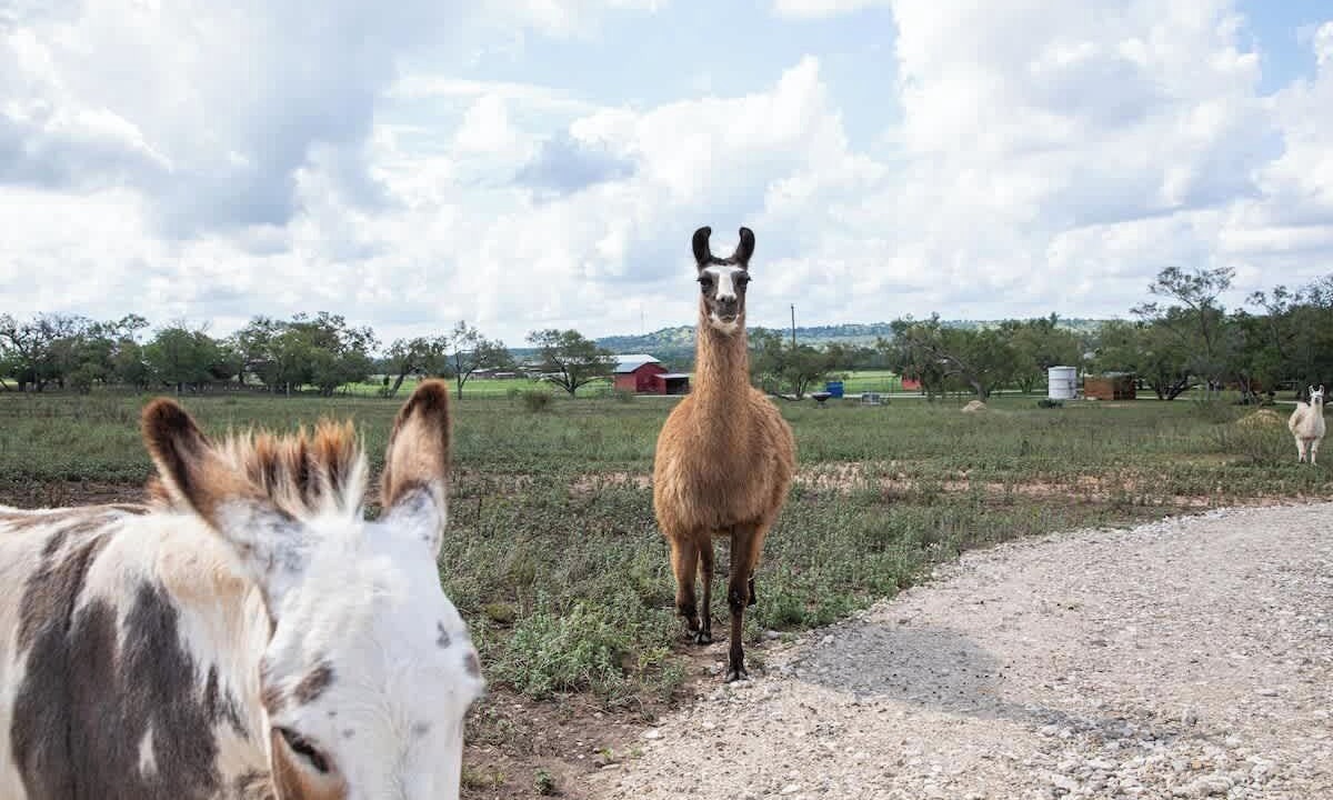 Photo of Others in Fredericksburg