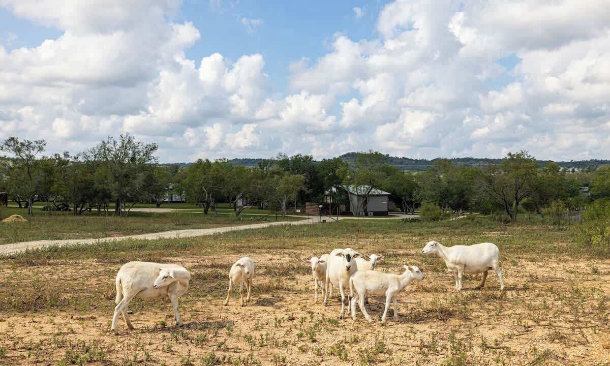 Photo of Others in Fredericksburg