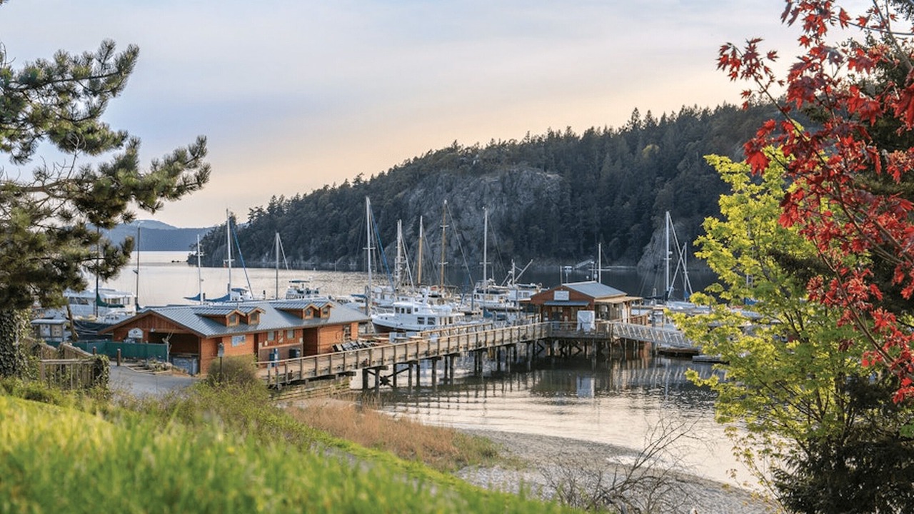 Photo of Others in Deer Harbor