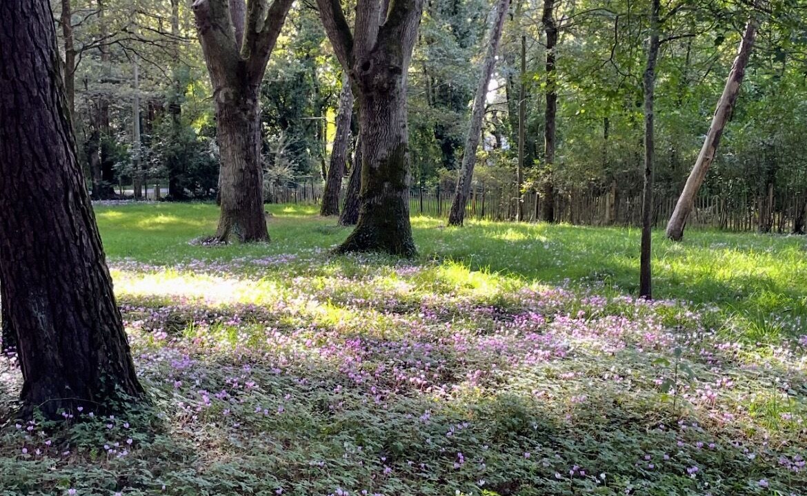 Photo of Outdoor in Suce-sur-Erdre