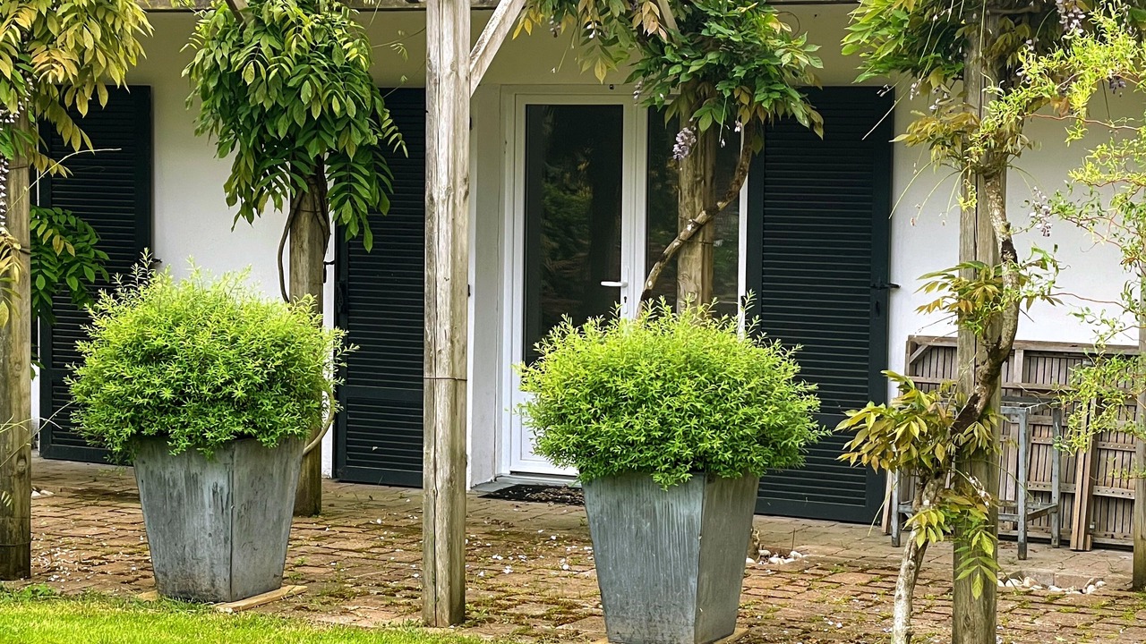 Photo of Outdoor in Suce-sur-Erdre