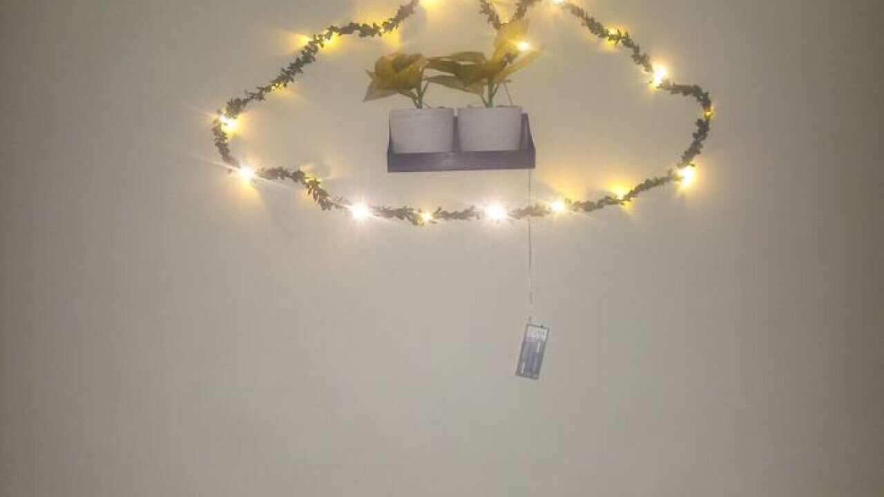 Photo of Others in Schenectady