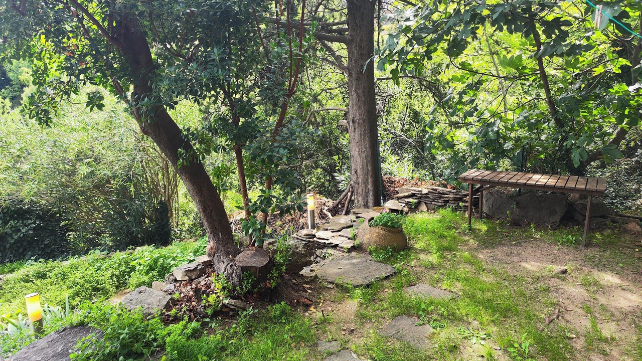 Photo of Others in Saint-Vincent-d'Olargues