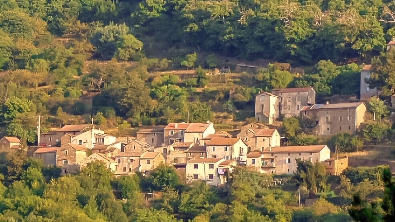 Photo of Others in Saint-Vincent-d'Olargues