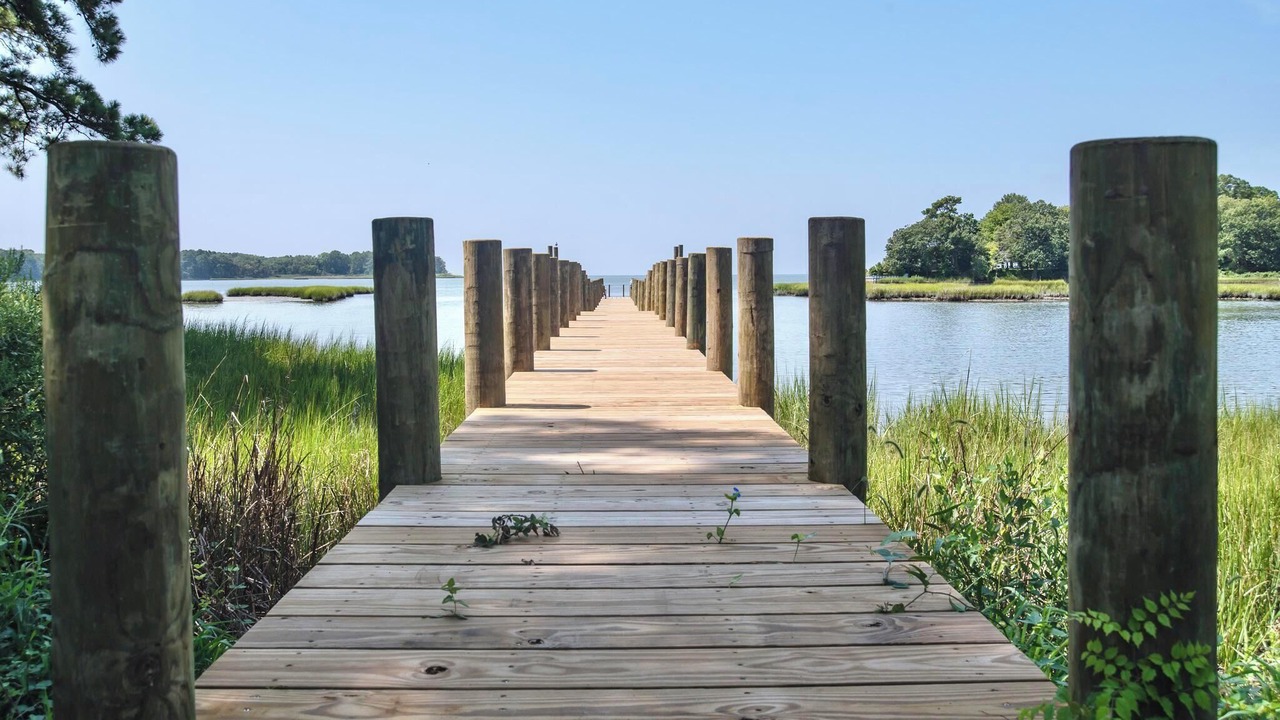 Photo of Others in Silver Beach