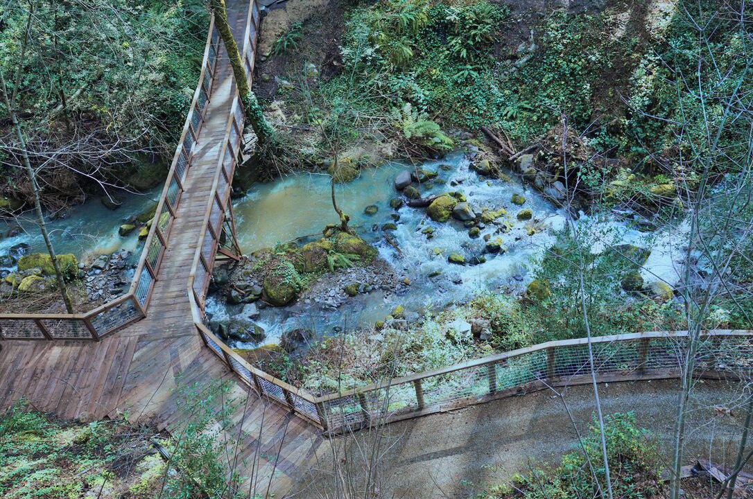 Photo of Others in Santa Rosa
