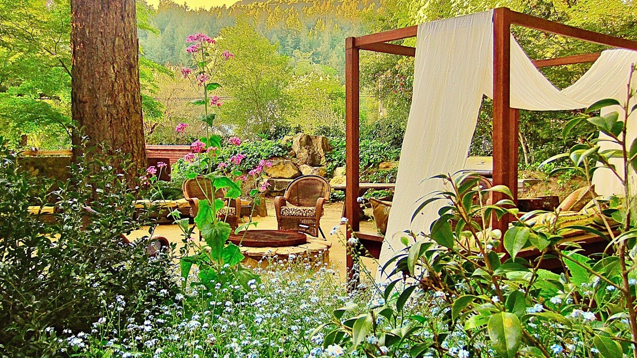 Photo of Outdoor in Santa Rosa