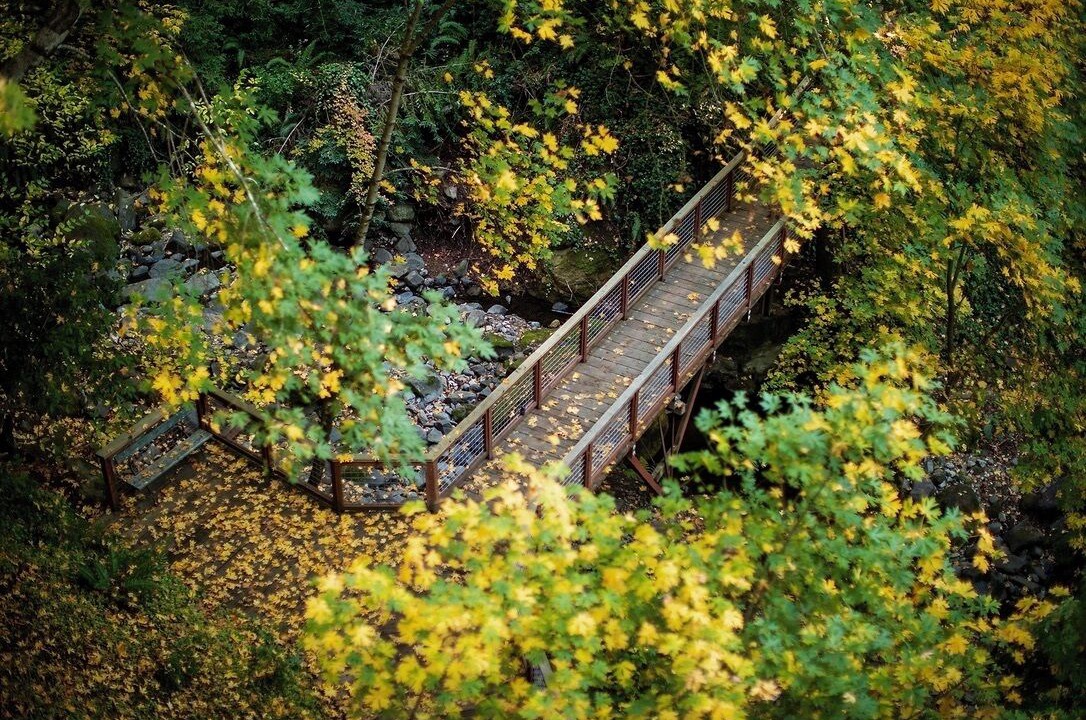 Photo of Outdoor in Santa Rosa