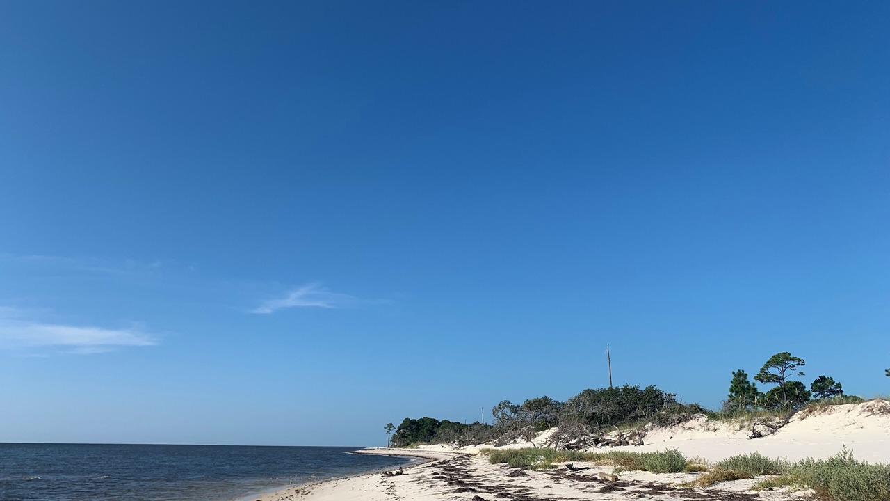 Photo of Others in Alligator Point