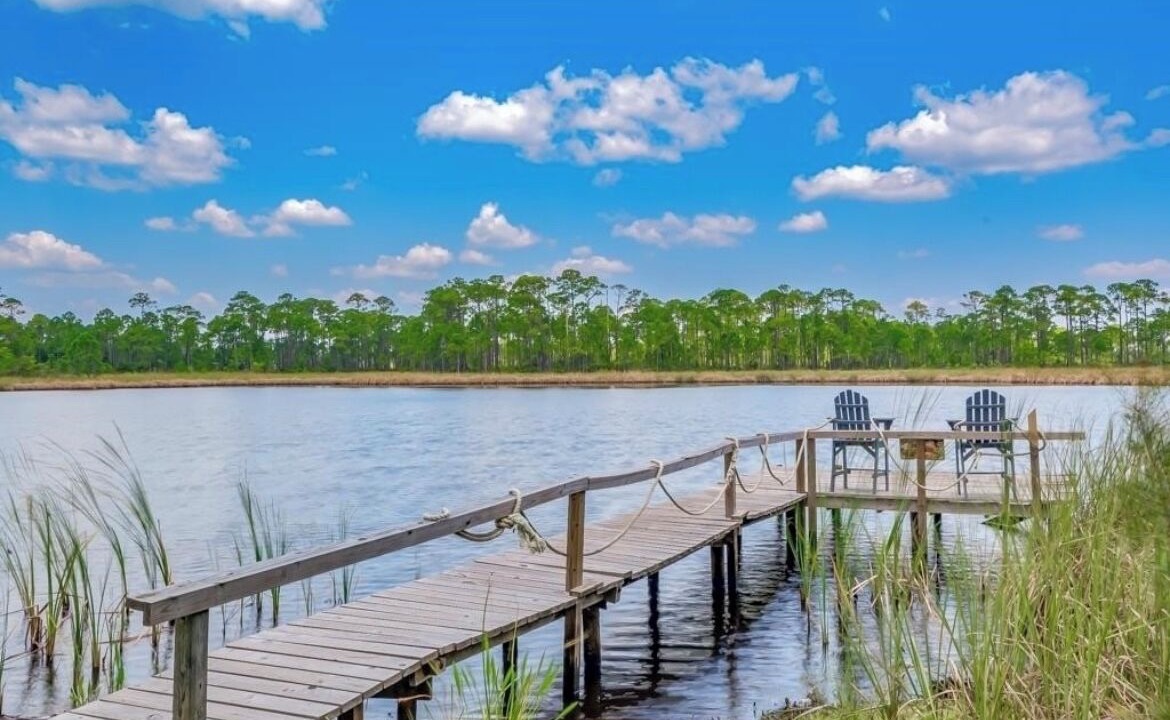Photo of Outdoor in Alligator Point