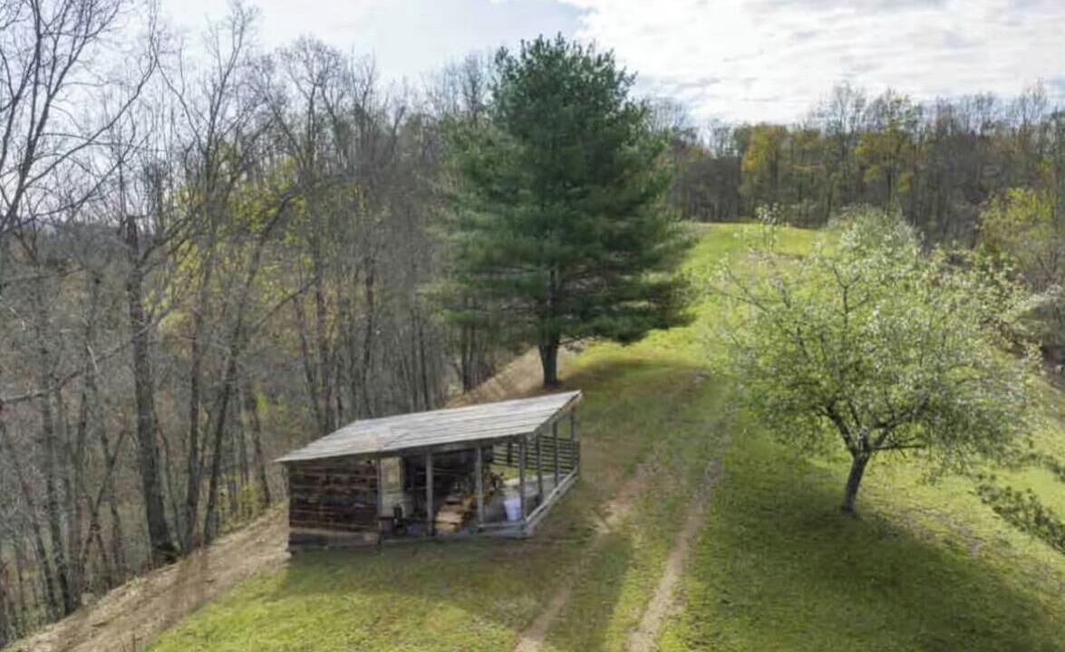 Photo of Outdoor in Johnson City