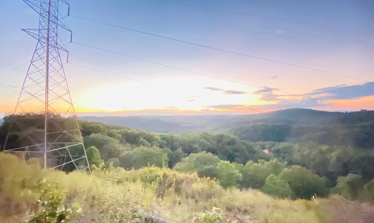 Photo of Others in Johnson City