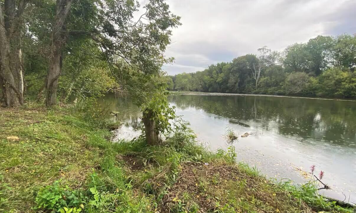 Photo of Others in Johnson City