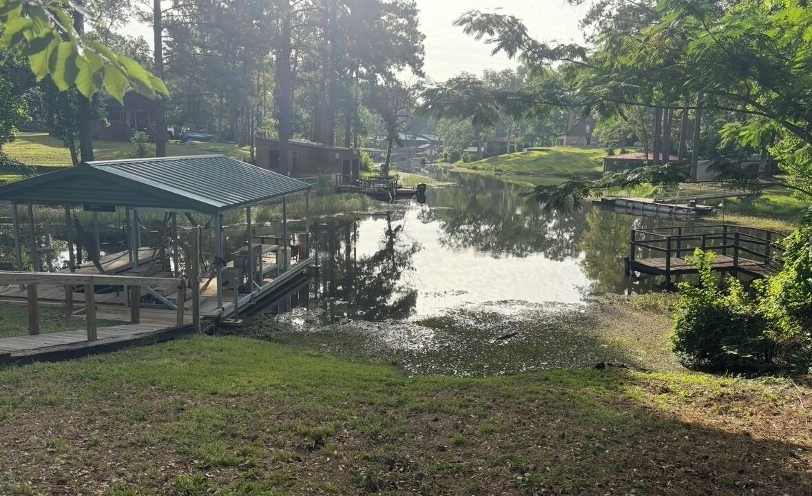 Photo of Others in Hemphill
