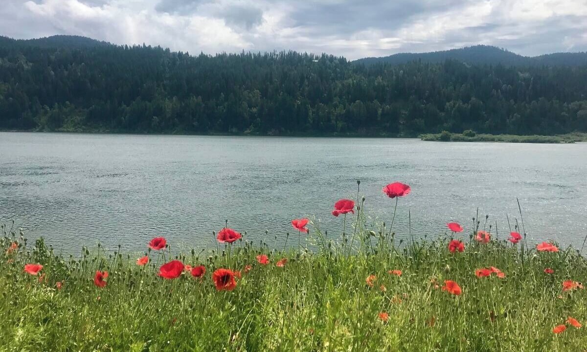 Photo of Others in Metaline