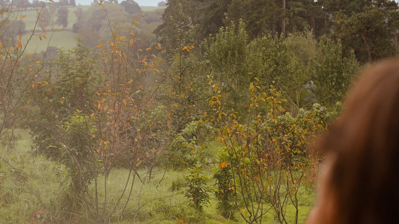 Photo of Others in Westbrook Court
