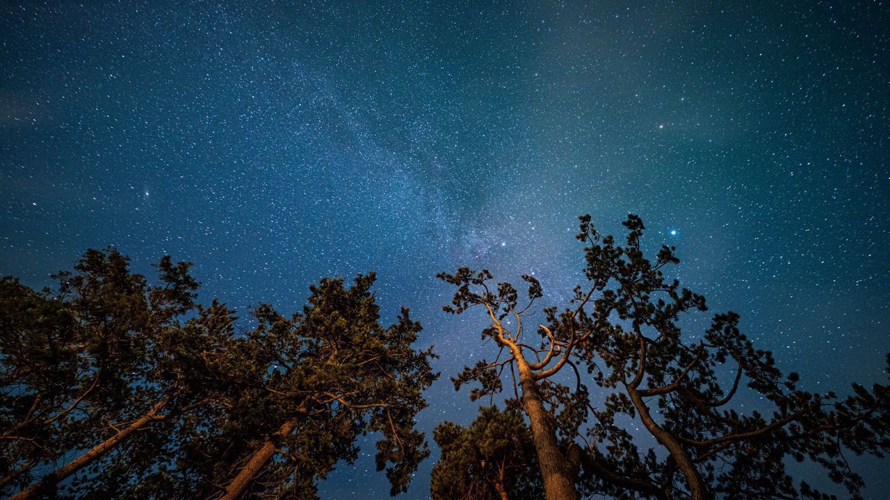 Photo of Others in Westbrook Court