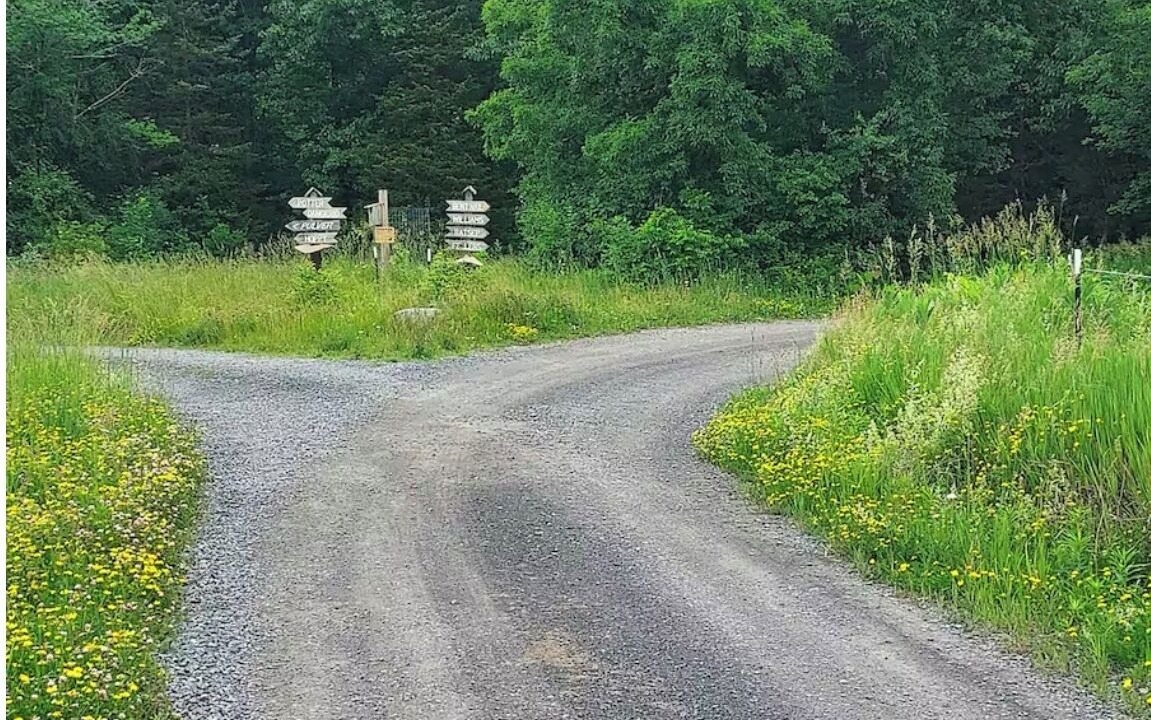 Photo of Others in Ovid