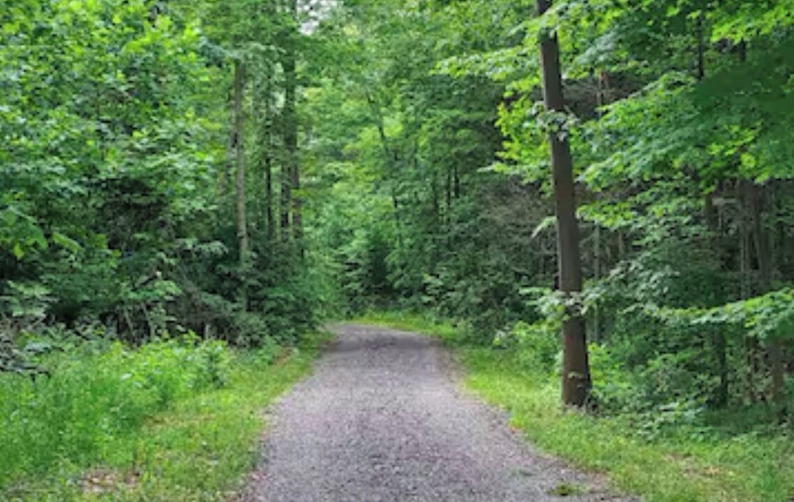 Photo of Others in Ovid