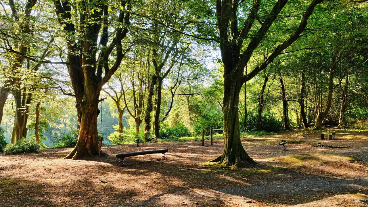 Photo of Others in Lelant