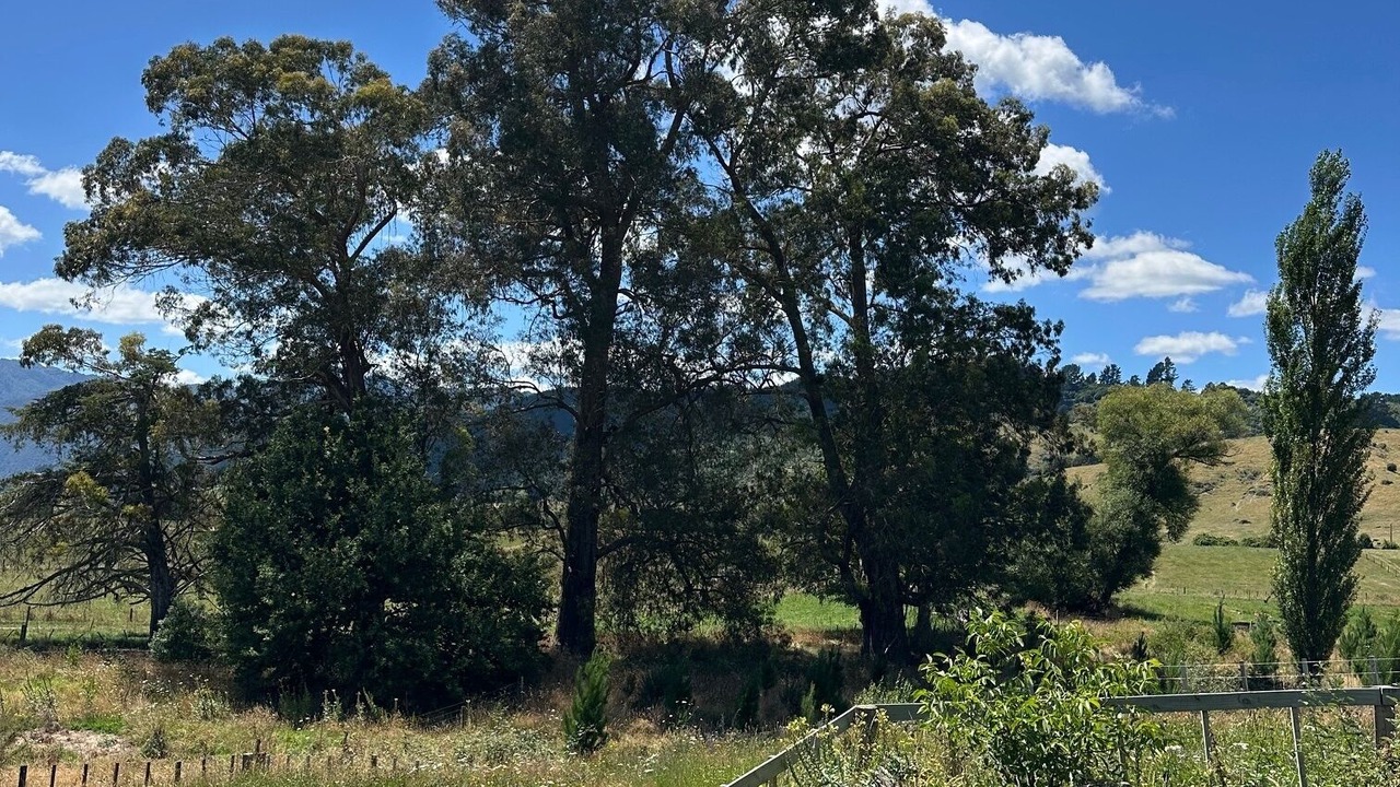 Photo of Others in Murupara