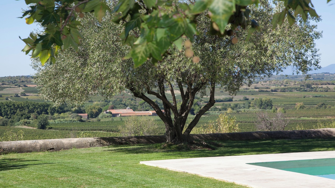 Photo of Outdoor in Alignan-du-Vent