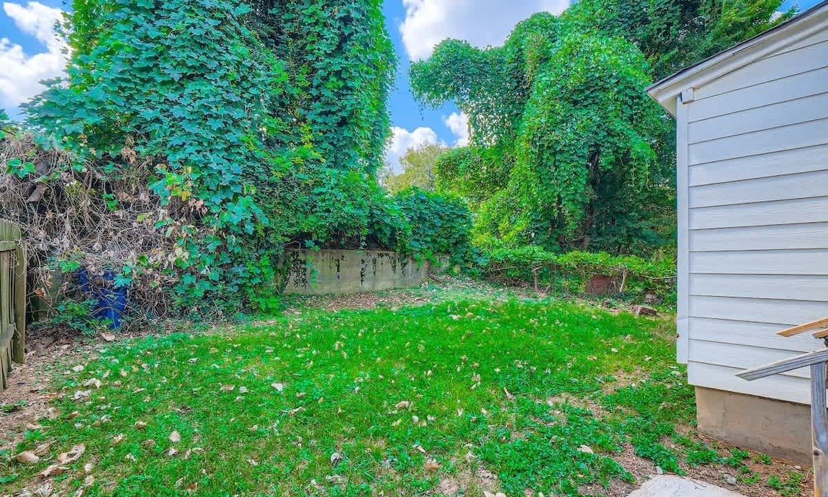 Photo of Outdoor in Peoplestown