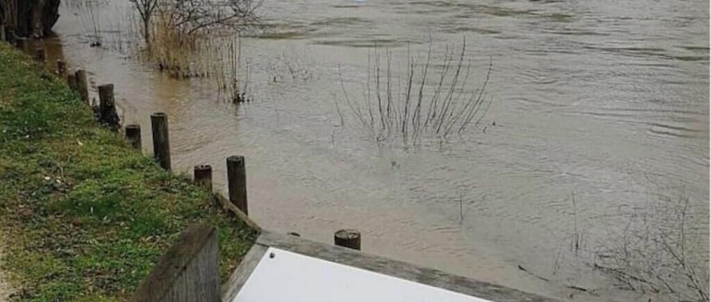 Photo of Others in Adamville