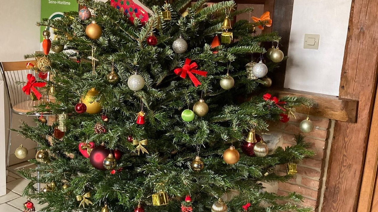 Photo of Others in Ganzeville