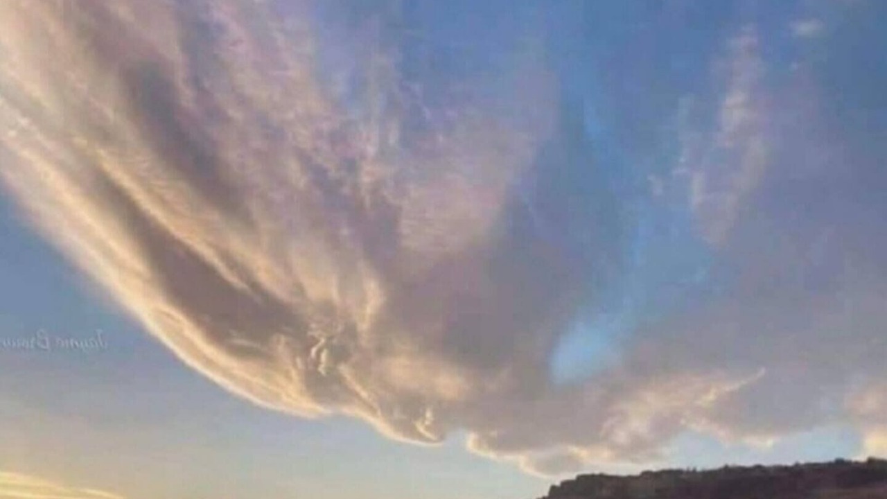 Photo of Others in Kaiapoi