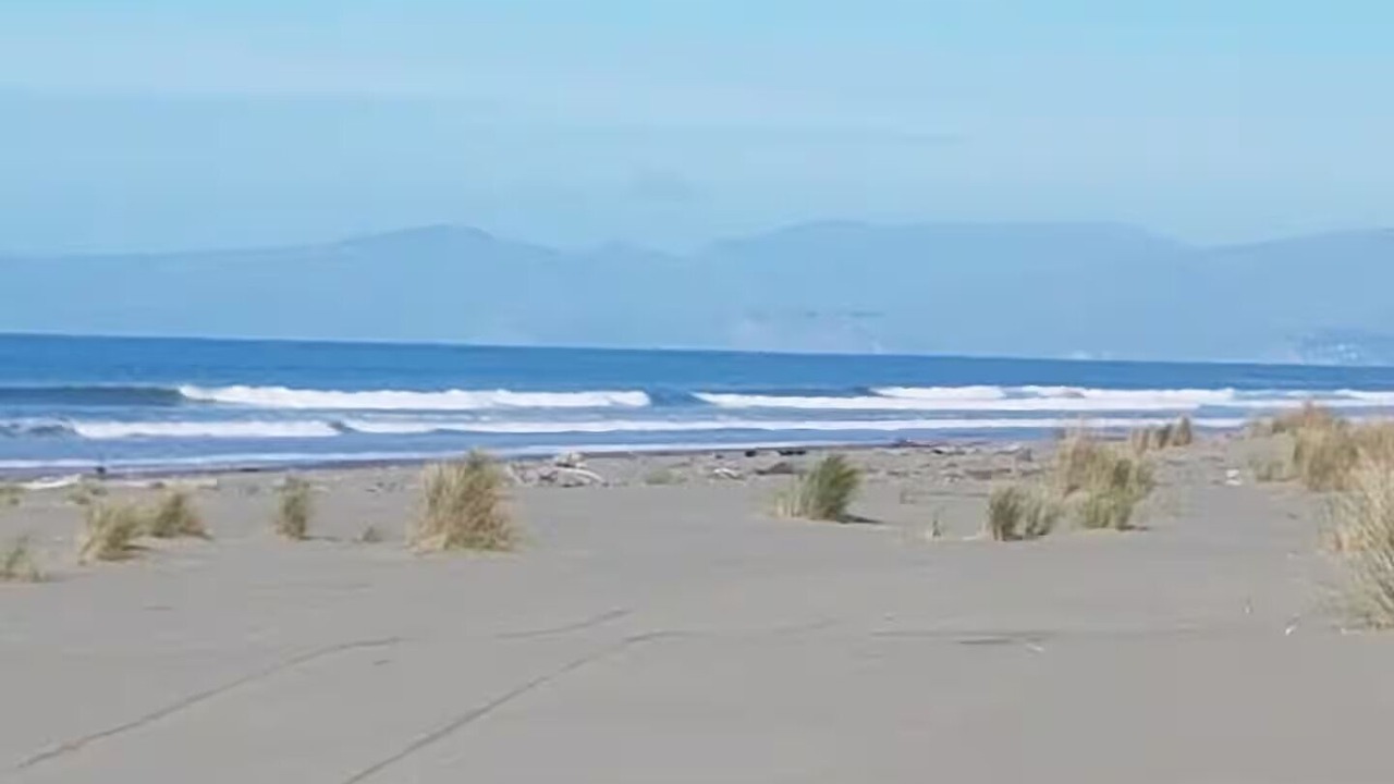 Photo of Others in Kaiapoi