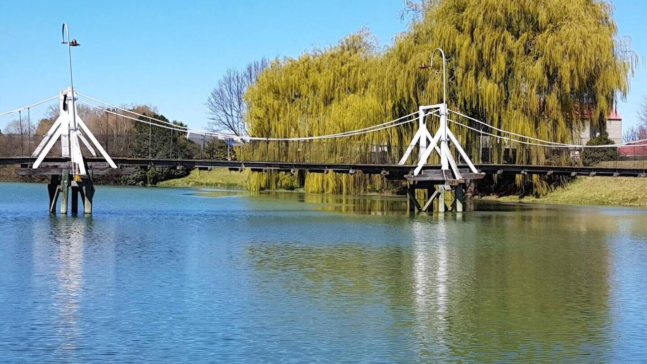 Photo of Others in Kaiapoi