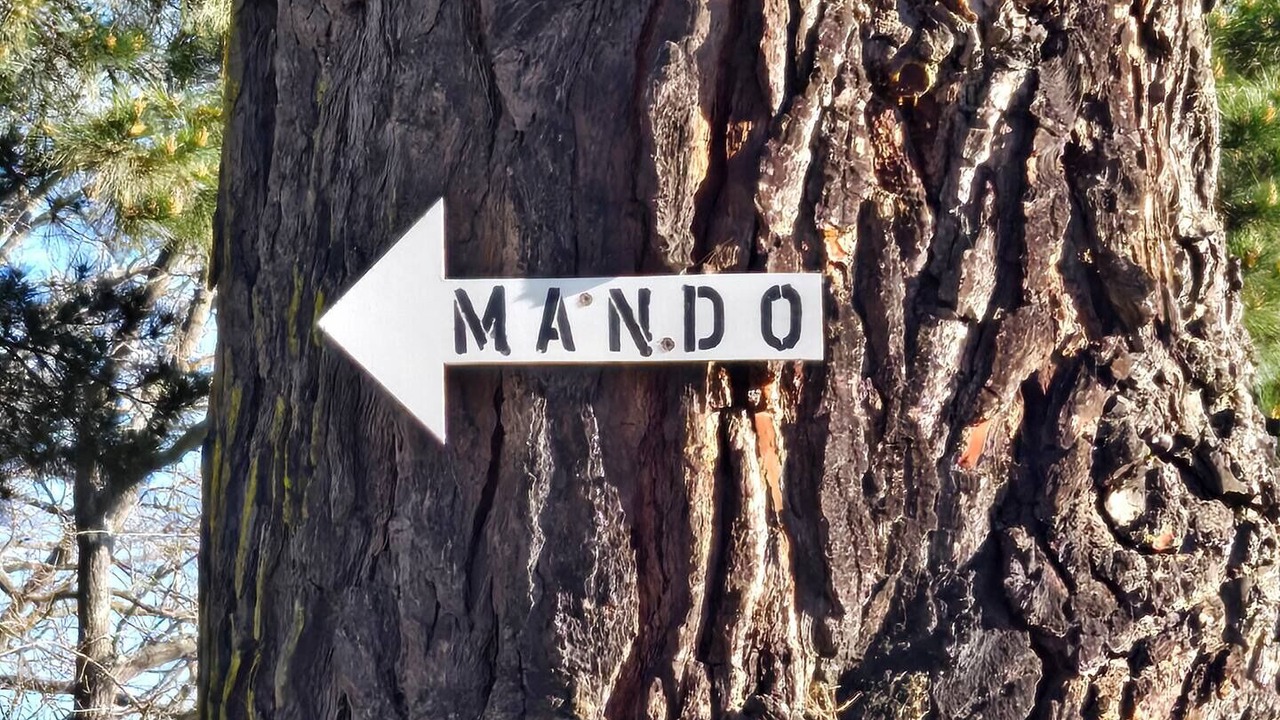 Photo of Outdoor in Kaiapoi