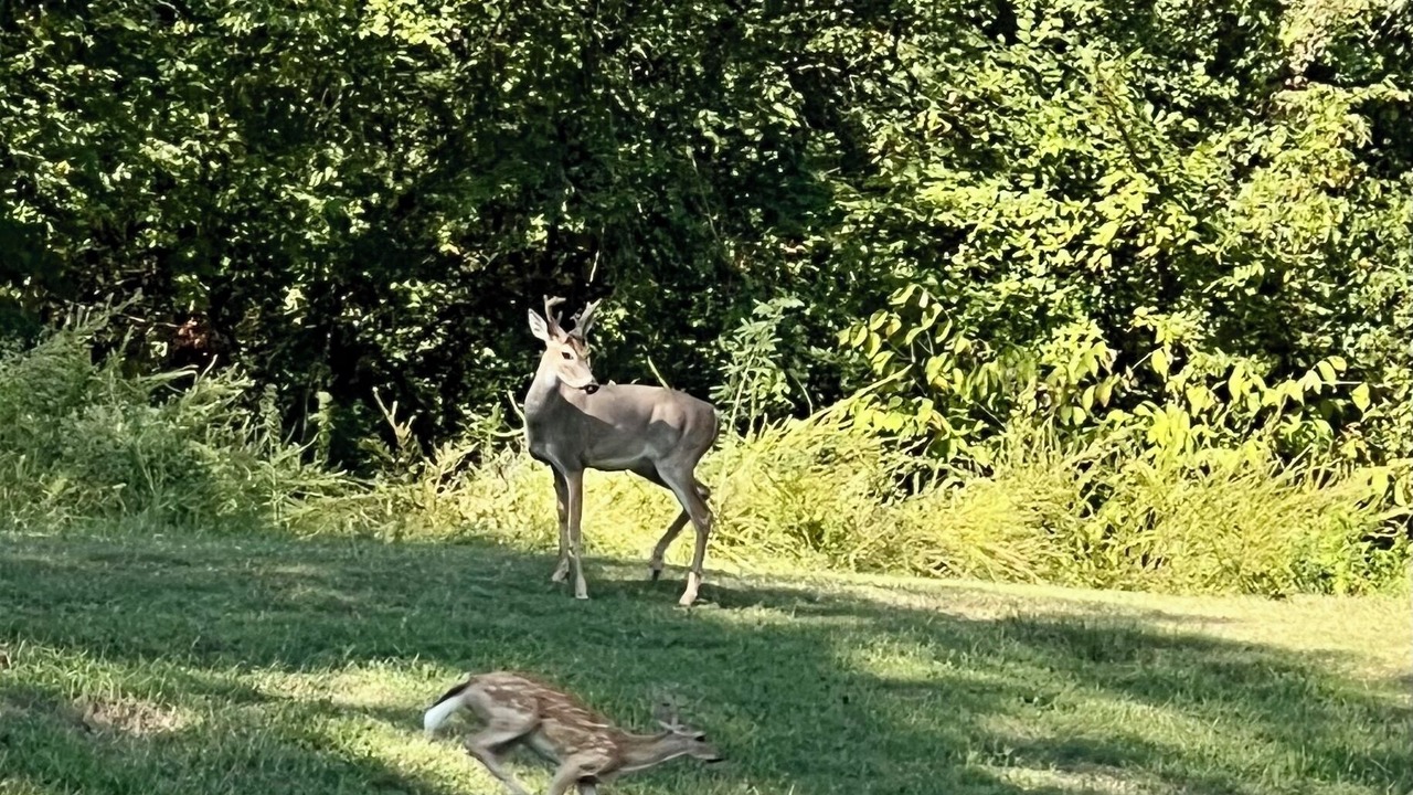 Photo of Others in Kingston