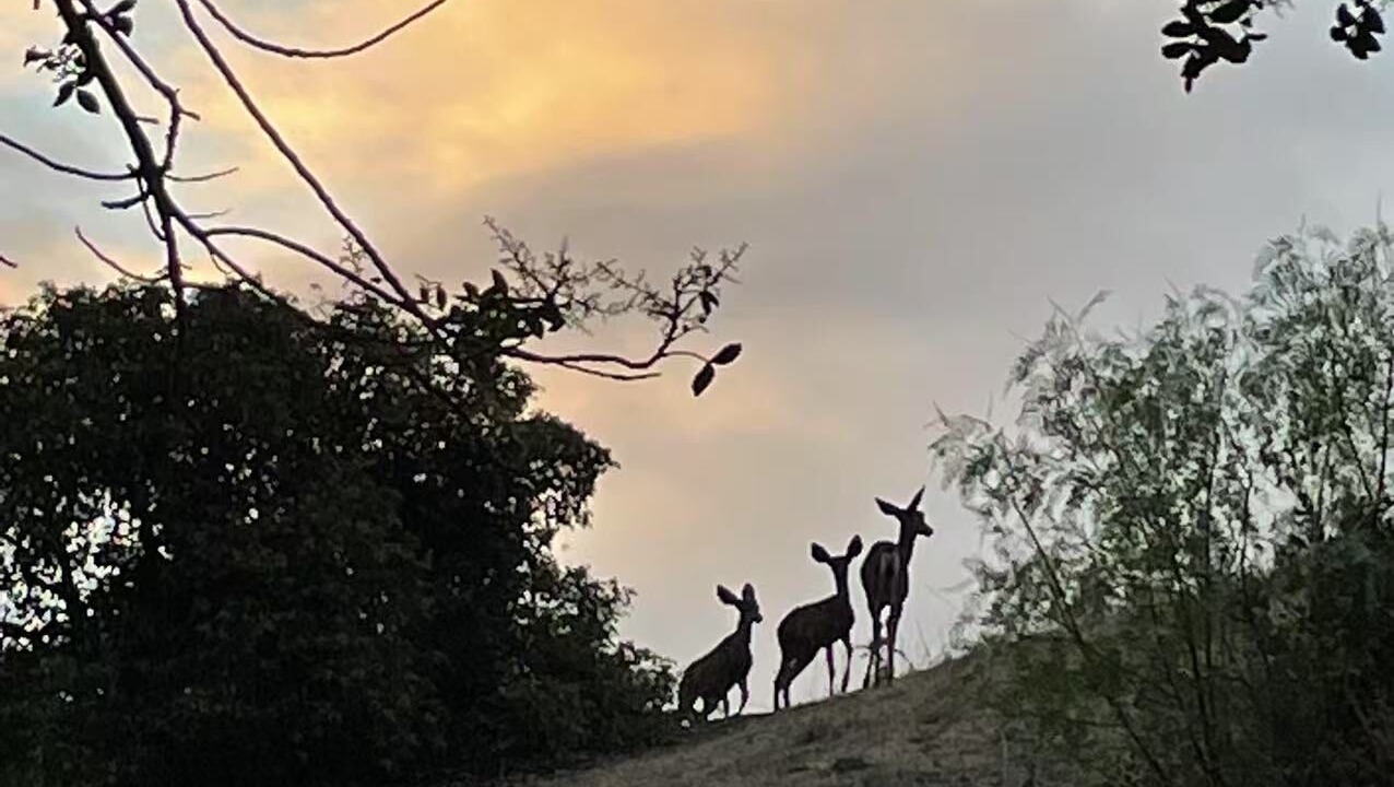 Photo of Others in Thousand Oaks
