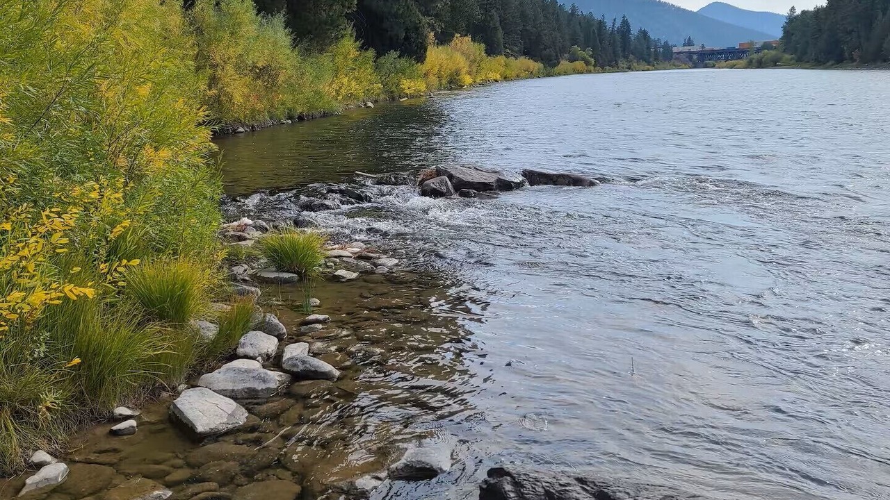 Photo of Others in Bonner-West Riverside