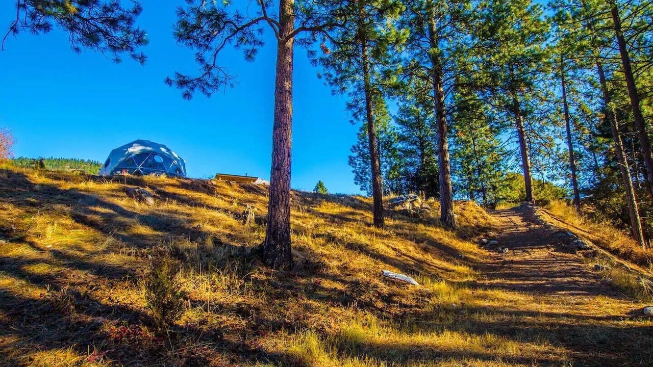 Photo of Others in Bonner-West Riverside