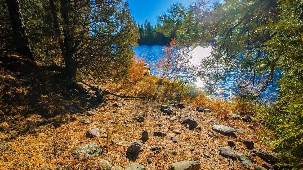 Photo of Others in Bonner-West Riverside