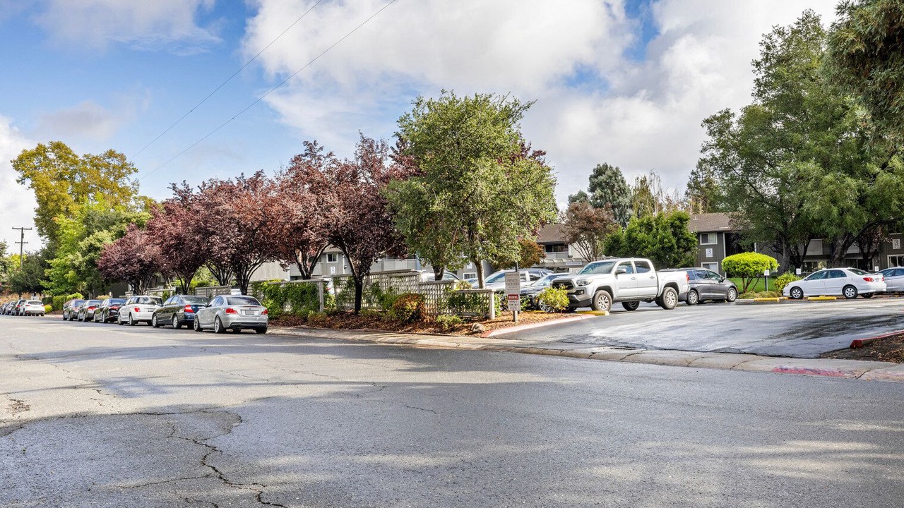 Photo of Outdoor in West San Jose