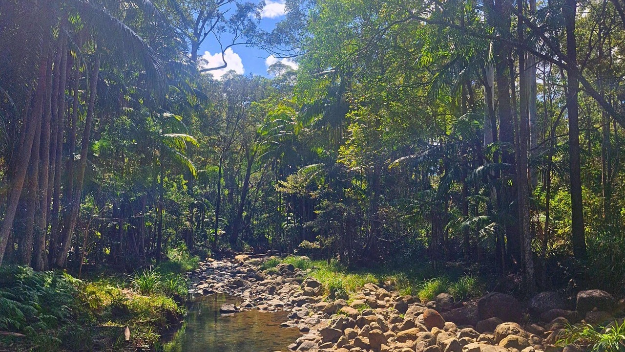 Photo of Others in North Tamborine