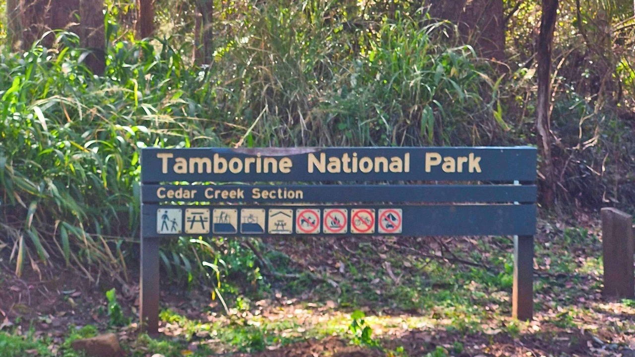 Photo of Others in North Tamborine