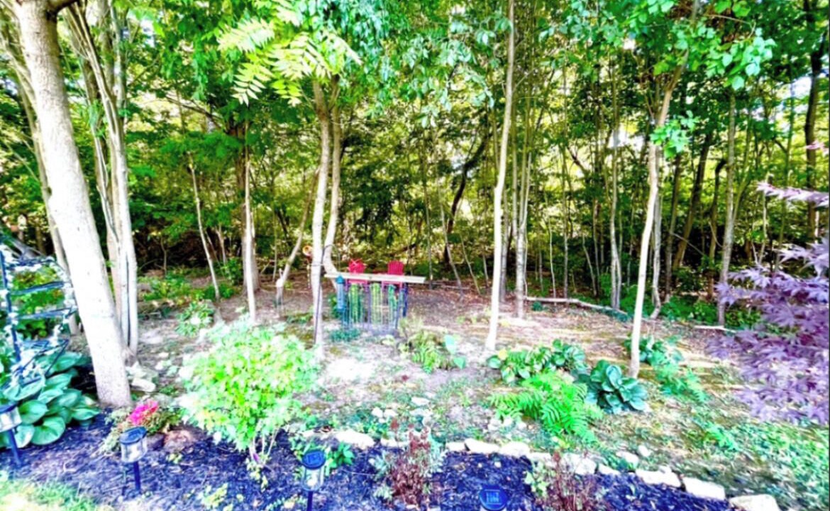 Photo of Outdoor in Smithville