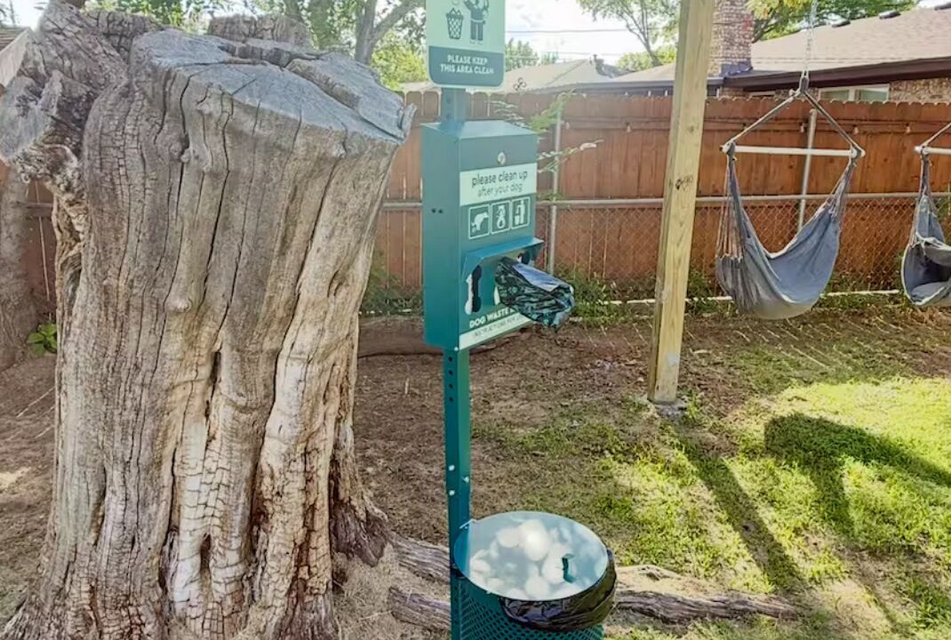 Photo of Outdoor in Wichita Falls