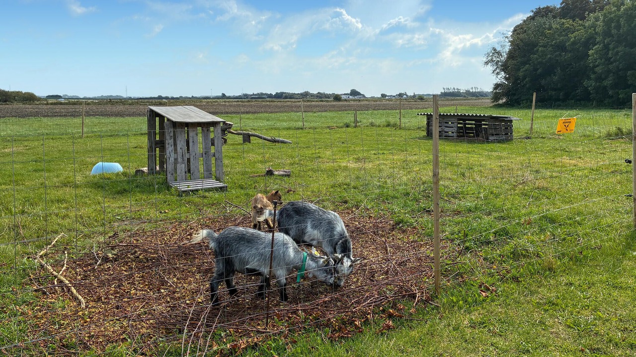 Photo of Others in Hojer