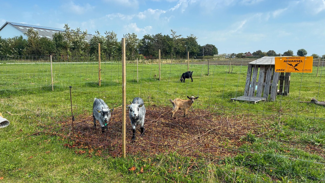 Photo of Others in Hojer